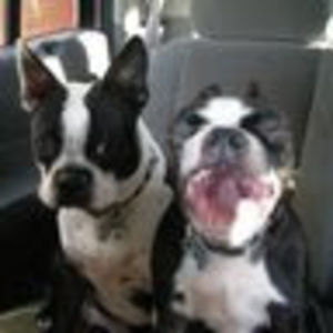 Meet your Posher, Joseph